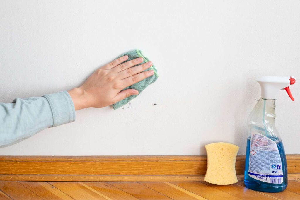 How to clean walls