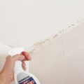 How to remove mould from ceiling