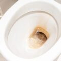 how to clean toilet bowl stain