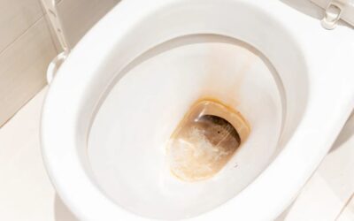 how to clean toilet bowl stain